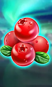Winterberries